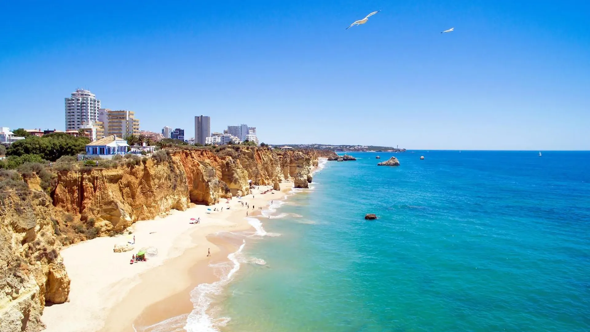 44B - Falta O Quinhao Portimao 0*,  Portugal